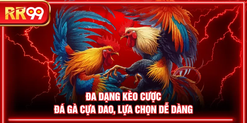 Đa dạng kèo cược đá gà cựa dao, lựa chọn dễ dàng