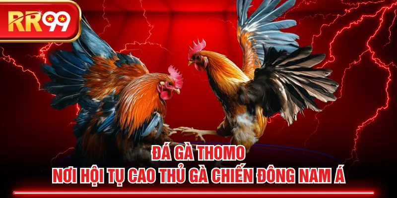 Đá Gà Thomo