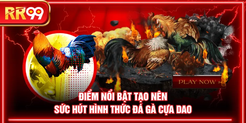Điểm nổi bật tạo nên sức hút hình thức đá gà cựa dao