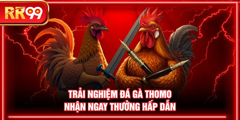 Trải nghiệm đá gà Thomo nhận ngay thưởng hấp dẫn